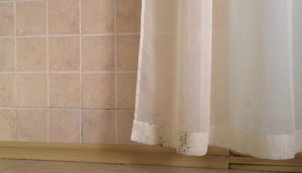 Best Real Estate Mold Inspection  in Dayton, NJ