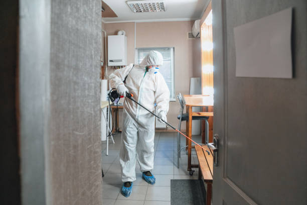 Best Comprehensive Air Testing for Mold Contaminants  in Dayton, NJ