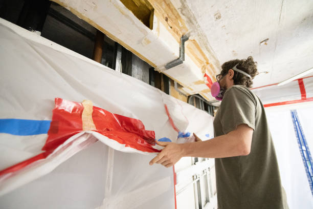 Best Environmental Consulting for Mold Prevention  in Dayton, NJ