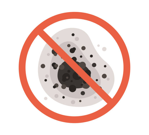 Best Dehumidification Services  in Dayton, NJ