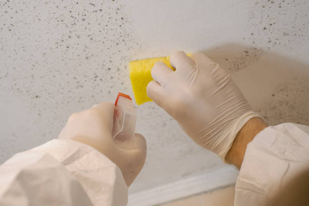 Best Indoor Air Quality Assessment  in Dayton, NJ
