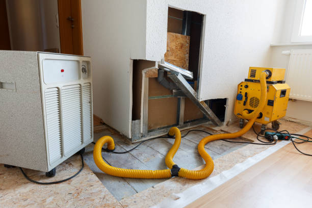 Best Attic Mold Removal  in Dayton, NJ