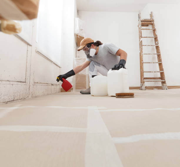 Environmental Consulting for Mold Prevention in Dayton, NJ