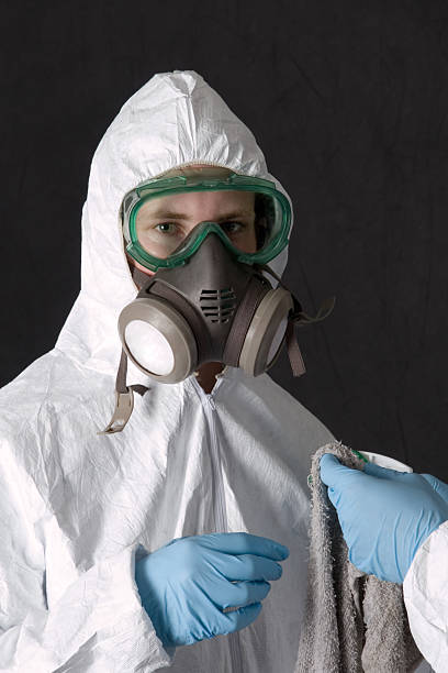 Best Basement Mold Removal  in Dayton, NJ